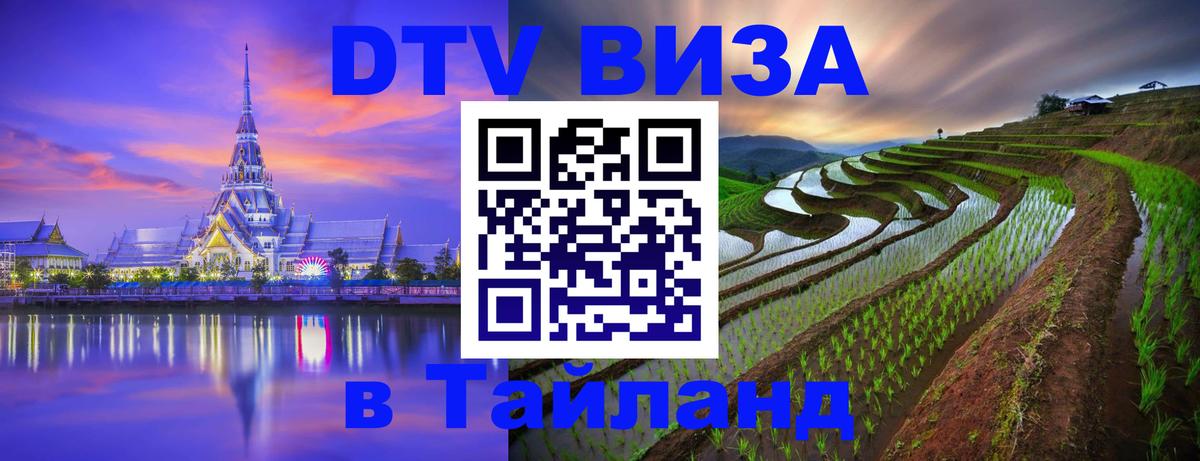 Сколько стоит DTV виза — актуальные цены, оформление даже без документов - 19.11.2025 